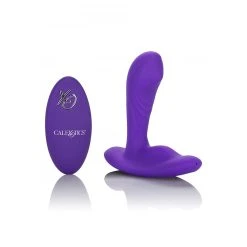 CalExotics Remote Pinpoint Pleaser