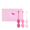 FeelzToys Kit D'entraînement Des Muscles Pelviens - Femmefit - 3 Pcs