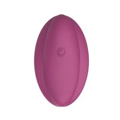 Limitless Oeuf Vibrant Télécommandé RL1 -dildo shop WY056420Purple206
