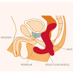 Fun Factory Stimulateur De Prostate Vibrant Duke -dildo shop duke202