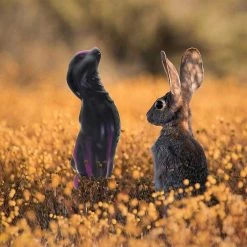 PINKALIEN Gode Lapin Noir Rabbix -dildo shop gode insolite rabbit lapin