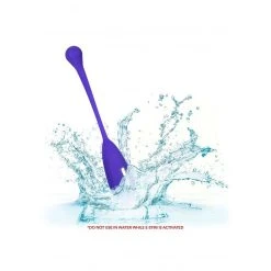 CalExotics Oeuf Vibrant - Impulse - Télécommandé -dildo shop oeuf20vibrant20violet20calexotics203
