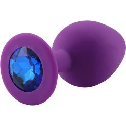 PLGZ Plug Anal En Silicone Mauve Rosebud -dildo shop pblue pluganal plgz