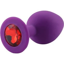 PLGZ Plug Anal En Silicone Mauve Rosebud