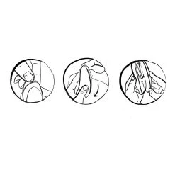 Romp Stimulateur Clitoridien Switch -dildo shop romp switch stimulateur clitoridien air pulse facile