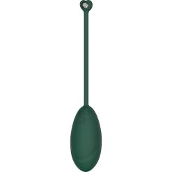 Limitless Oeuf Vibrant Télécommandé VE2 -dildo shop ve2 oeufvibrant delfiGR2