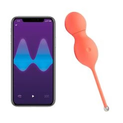 We-Vibe Boules De Geisha - We Vibe Bloom - Connectées