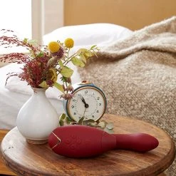 Vibromasseur Rabbit Womanizer DUO - Clitoris Et Point G -dildo shop womanizer duo rouge